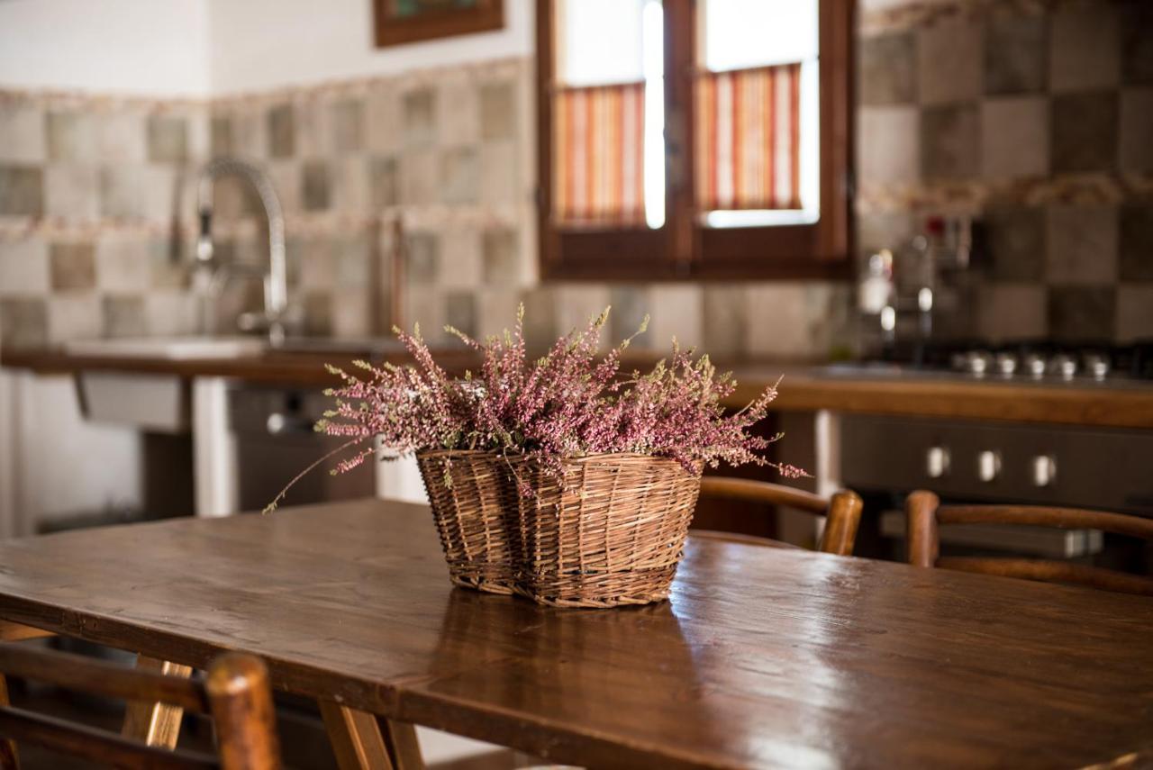 Villa Da Gianni A Montalcino Extérieur photo
